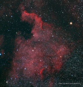 NGC-7000-North-American-Nebula-Genesis-10-cm-F5_4-Canon-6D-modified